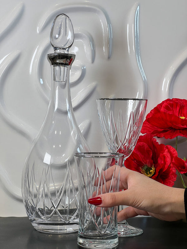 ACAR AQUA COLLECTION PLATIN Gläserset Gläser mit Karaffe 25 Stk.